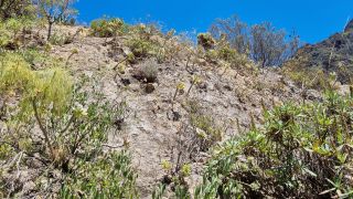 2023-04-GranCan-Guayadeque-128.jpg